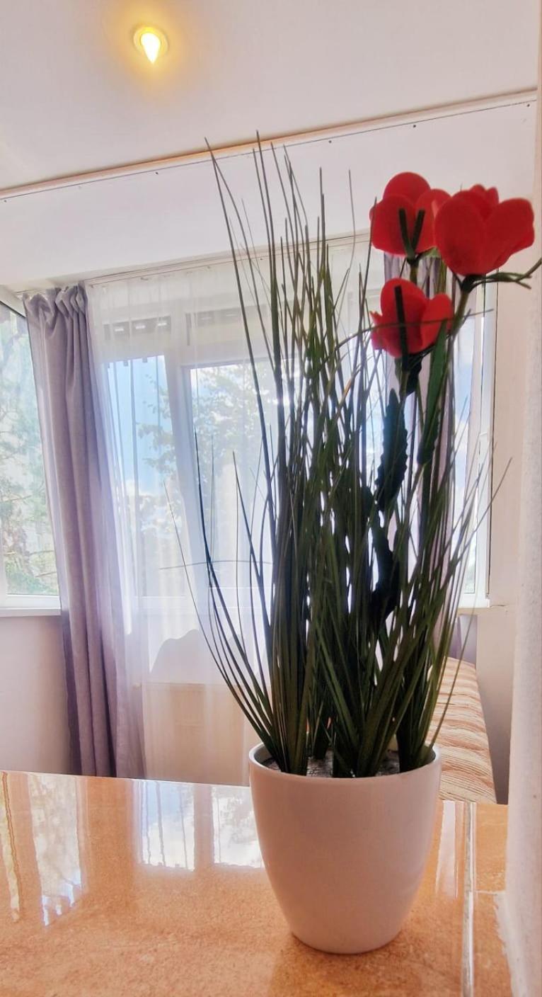 Stephanie Apartment-Centru Civic Braşov Buitenkant foto