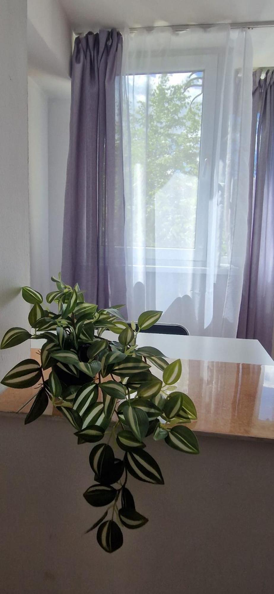 Stephanie Apartment-Centru Civic Braşov Buitenkant foto
