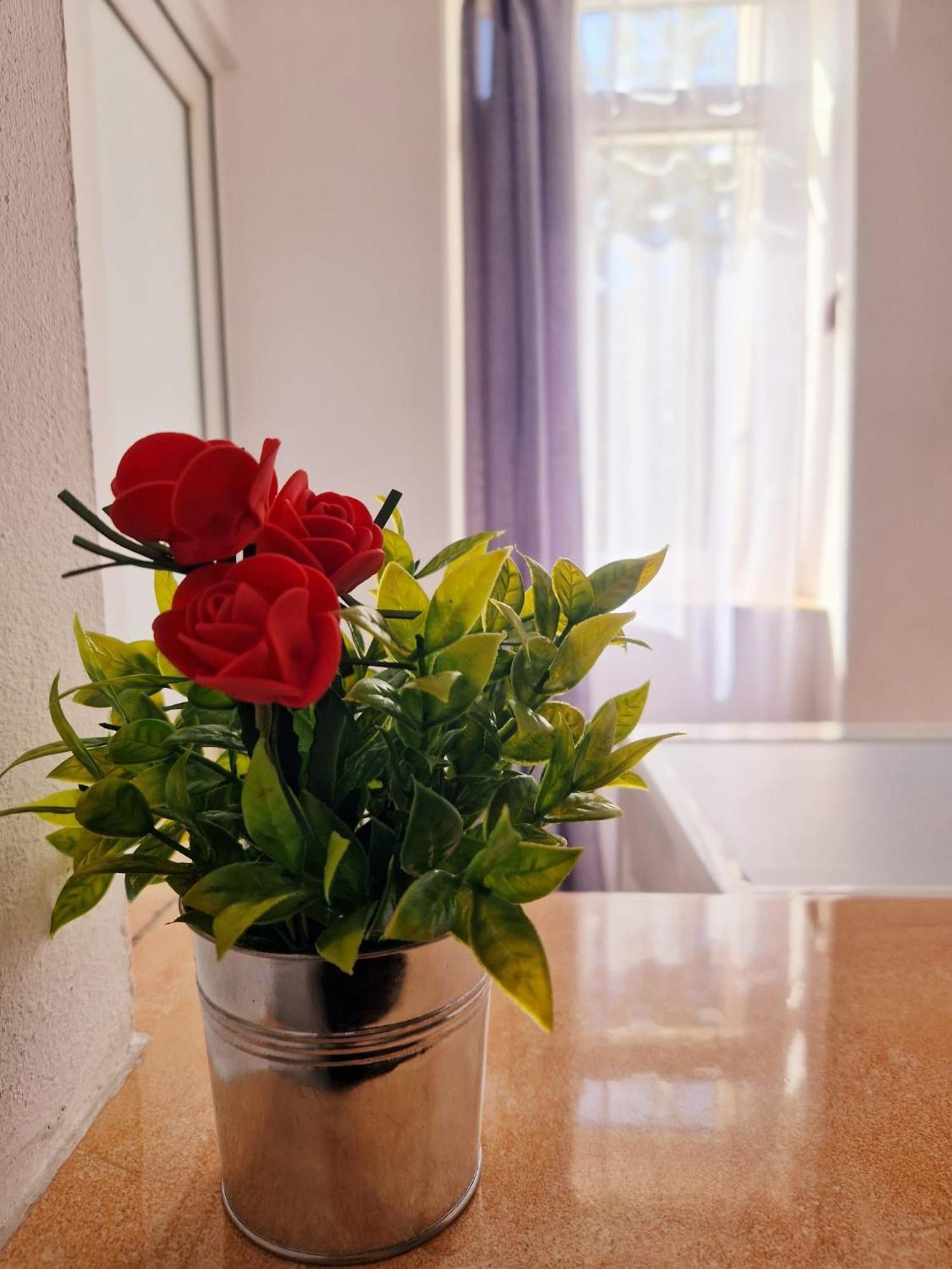 Stephanie Apartment-Centru Civic Braşov Buitenkant foto